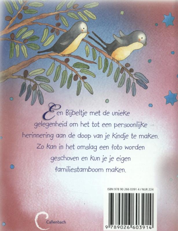 Achterkant van Je eigen doopbijbel
