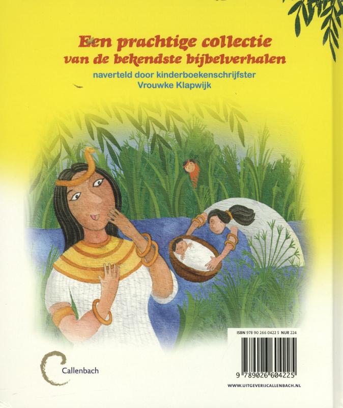 Achterkant van Een bijbelverhaal voor elke dag