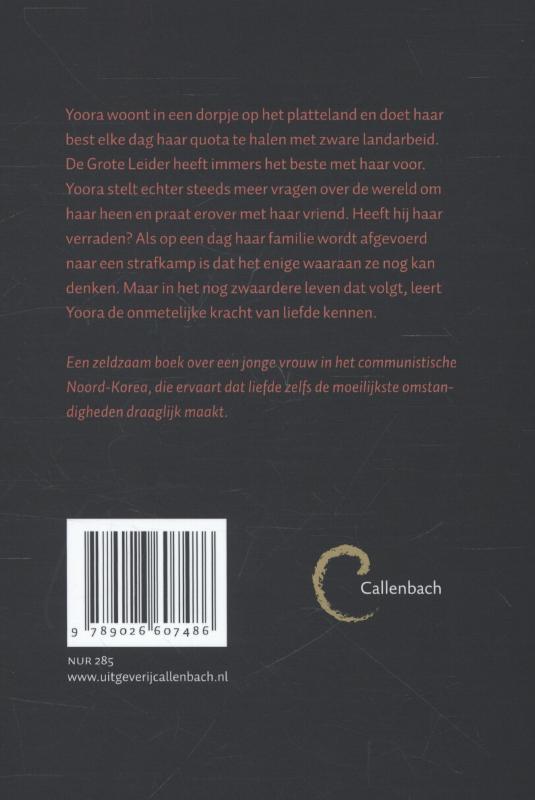 Achterkant van Vogel zonder vleugels