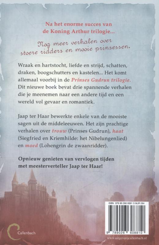 Achterkant van Prinses Gudrun trilogie