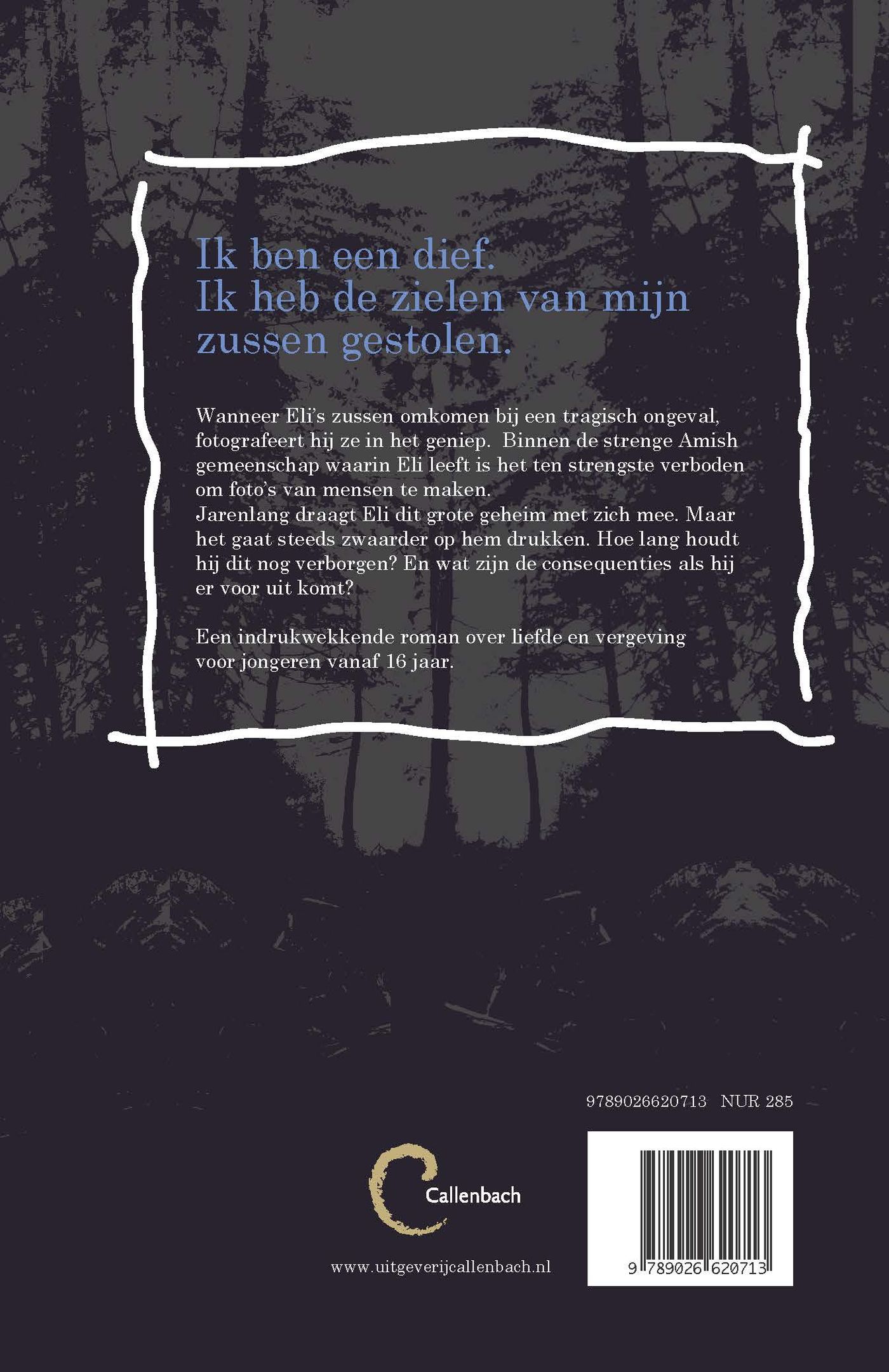Achterkant van Gestolen zielen