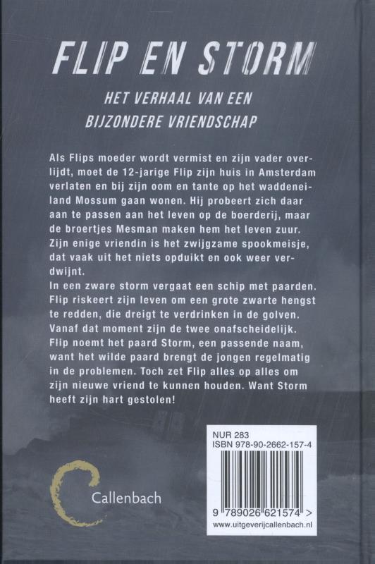 Achterkant van Storm