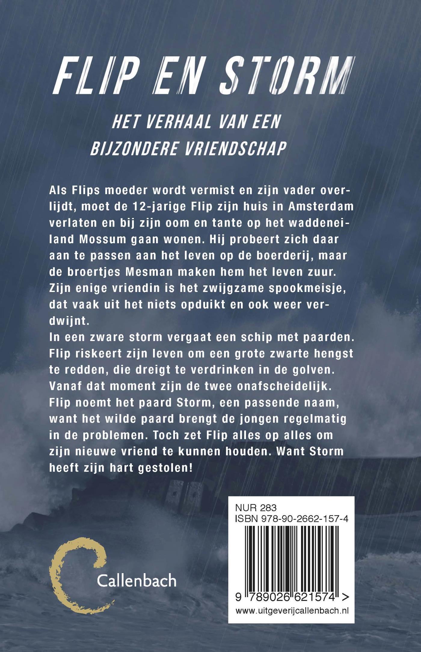 Achterkant van Storm