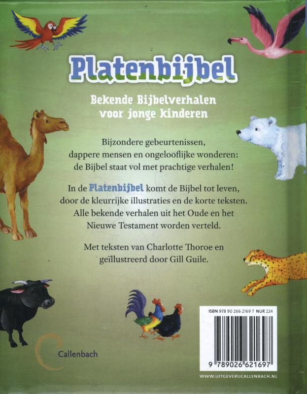 Achterkant van Platenbijbel