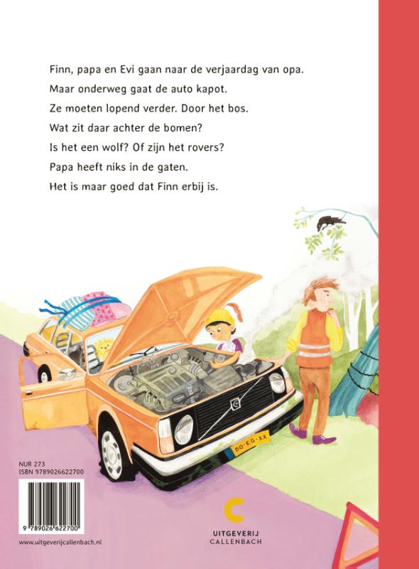 Achterkant van Niks aan de hand