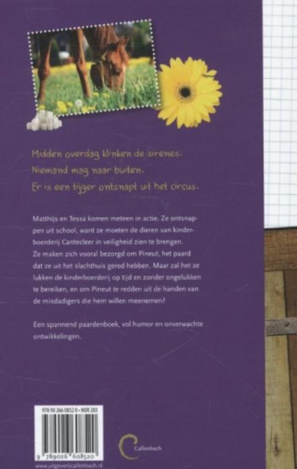 Achterkant van Paard ontdekt