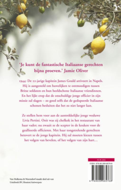 Achterkant van Dansen op de vulkaan