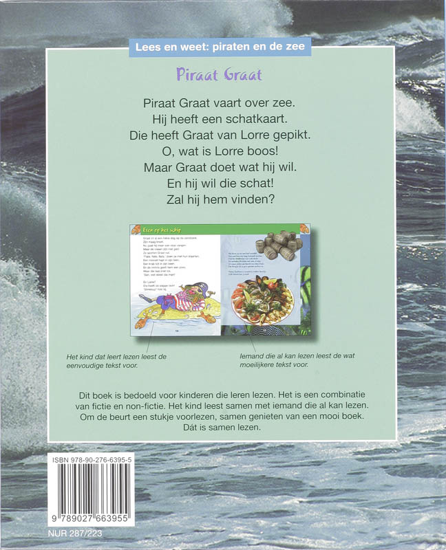 Achterkant van Piraat Graat