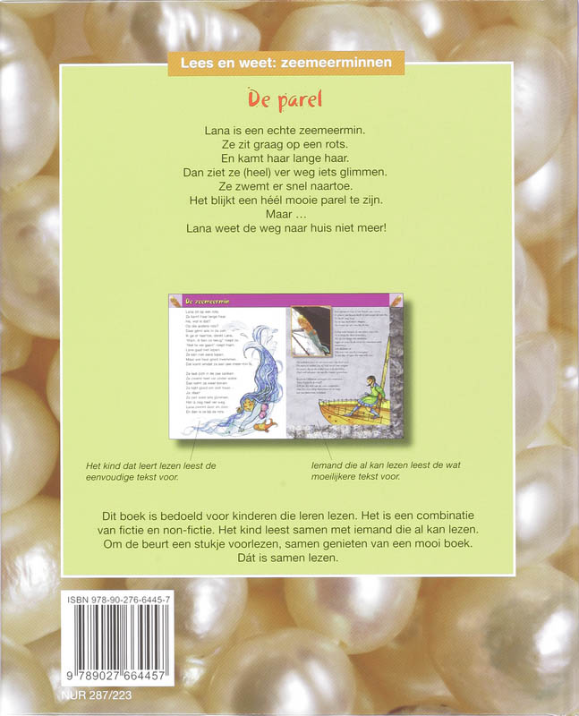 Achterkant van De parel