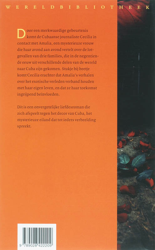 Achterkant van Het eiland van de oneindige liefdes
