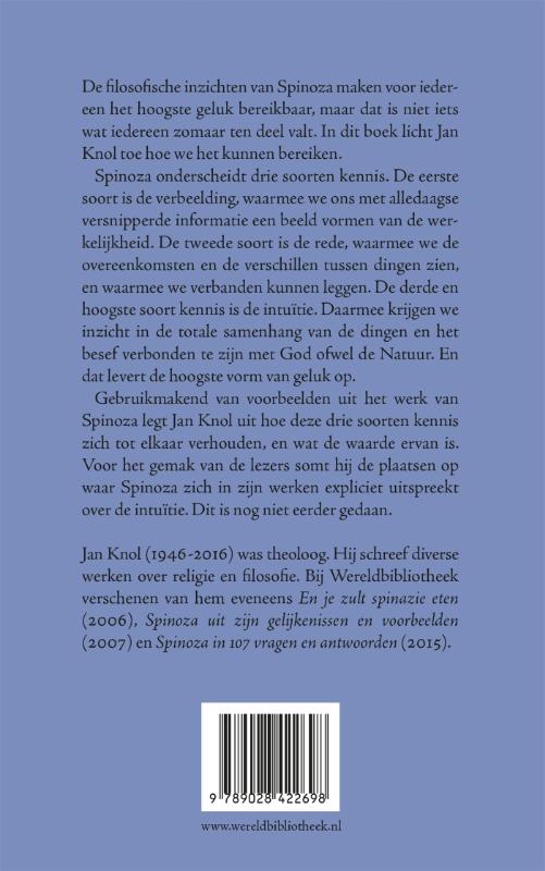 Achterkant van Spinoza's intuitie
