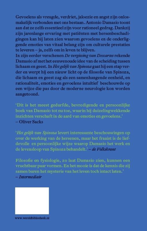 Achterkant van Het gelijk van Spinoza