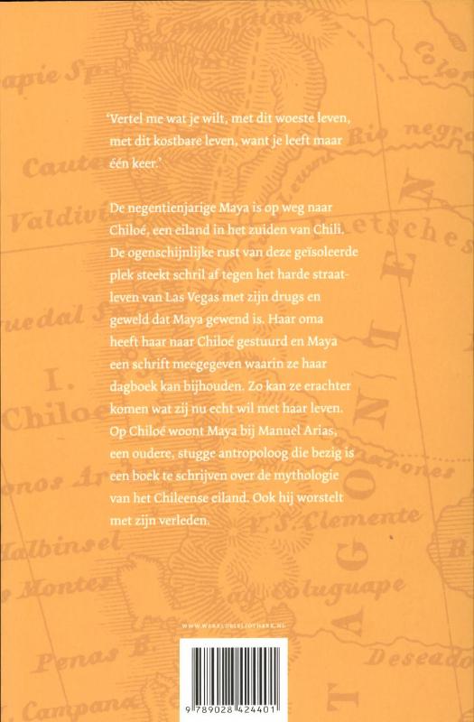 Achterkant van Het negende schrift van Maya
