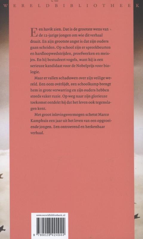 Achterkant van Havik
