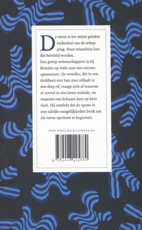 Achterkant van De spons in ons