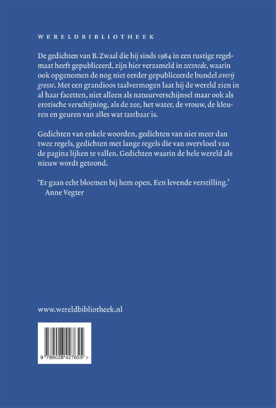 Achterkant van Zeesnede