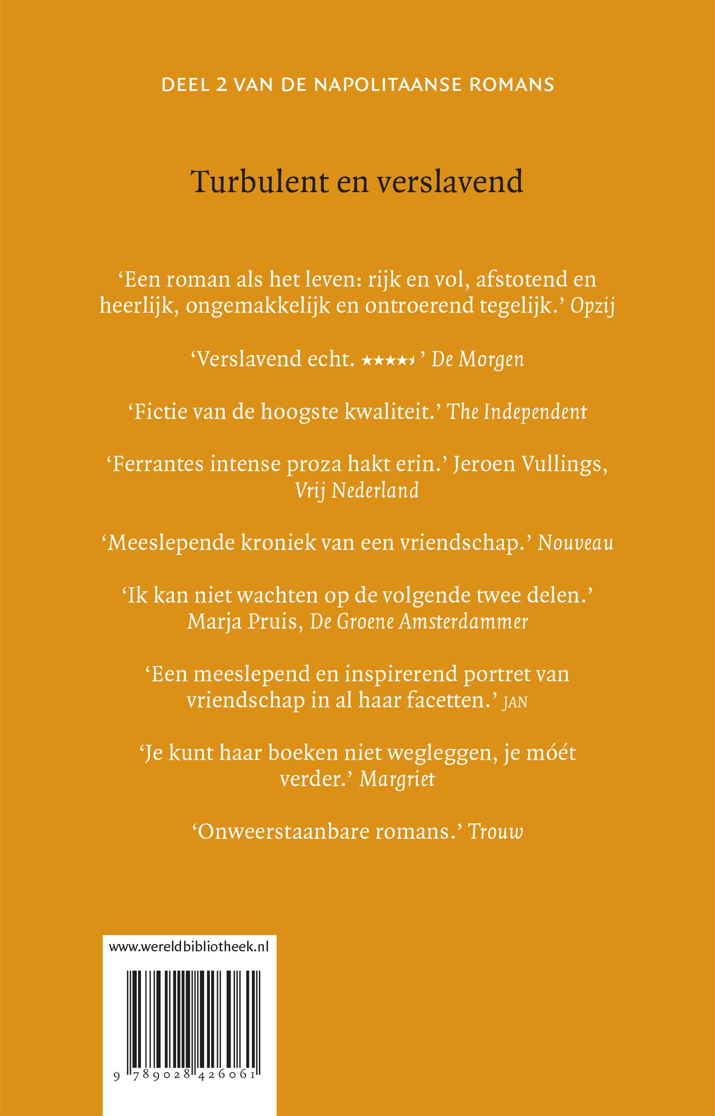 Achterkant van De nieuwe achternaam