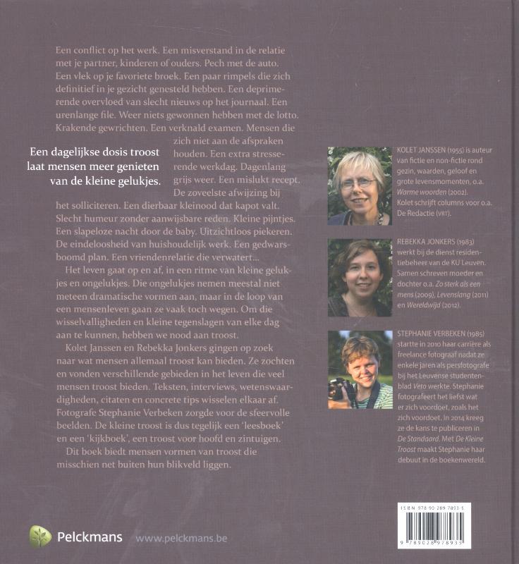 Achterkant van De kleine troost