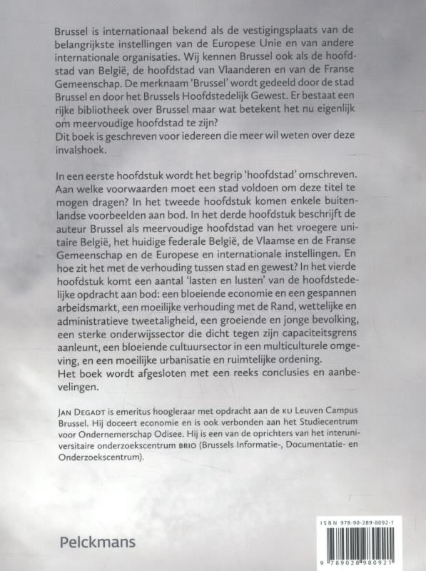 Achterkant van Brussel een hoofdstad in meervoud