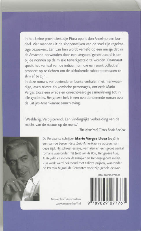Achterkant van Het groene huis