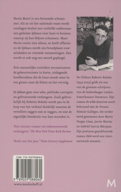 Achterkant van De ijsbaan