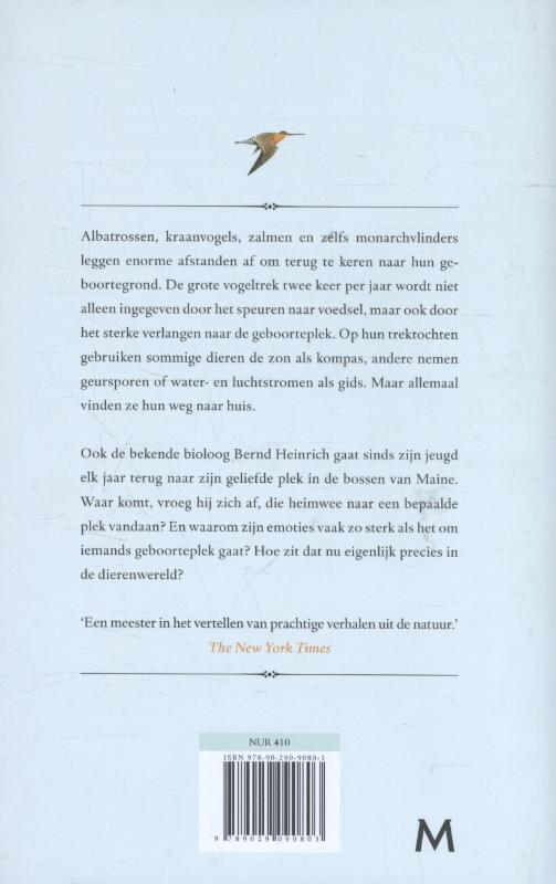 Achterkant van Huiswaarts