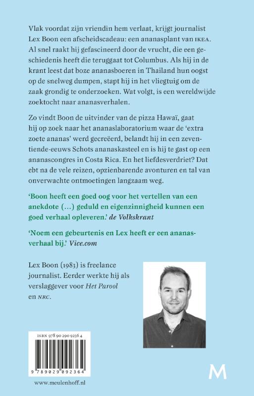 Achterkant van Ananas