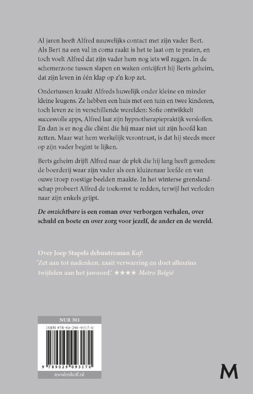 Achterkant van De onzichtbare