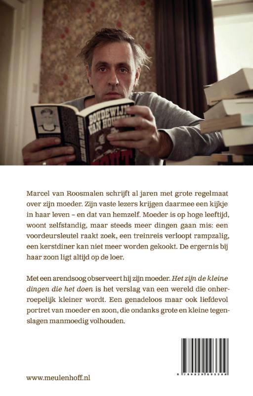 Achterkant van Het zijn de kleine dingen die het doen