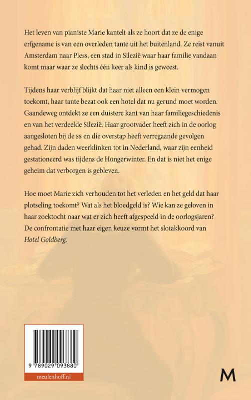 Achterkant van Hotel Goldberg