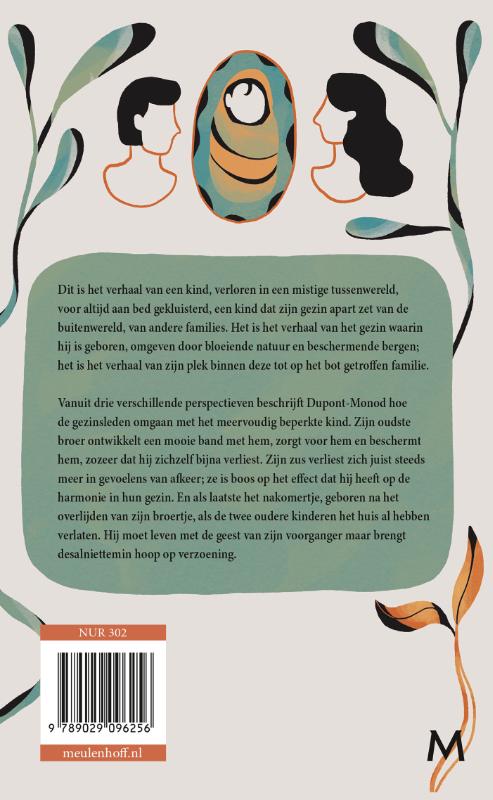 Achterkant van Wat de stenen ons vertellen
