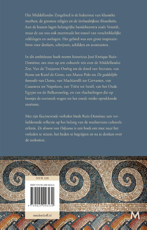 Achterkant van De droom van Odysseus