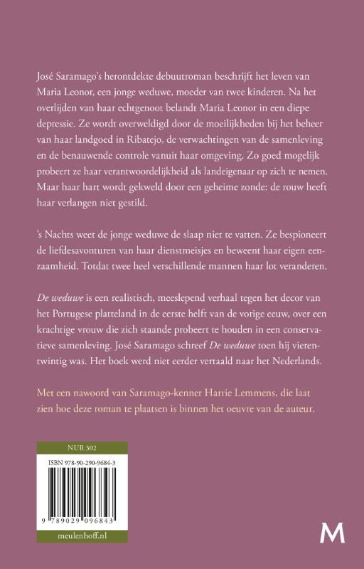 Achterkant van De weduwe