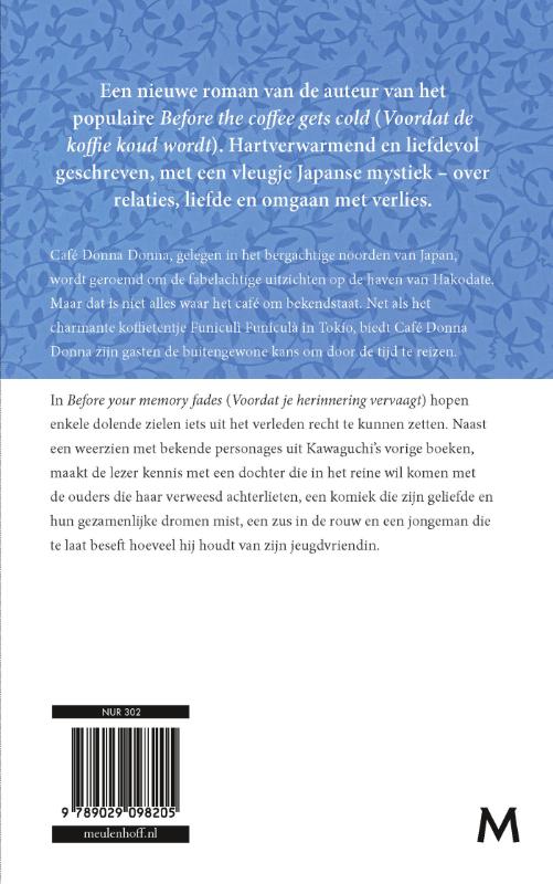 Achterkant van Before your memory fades