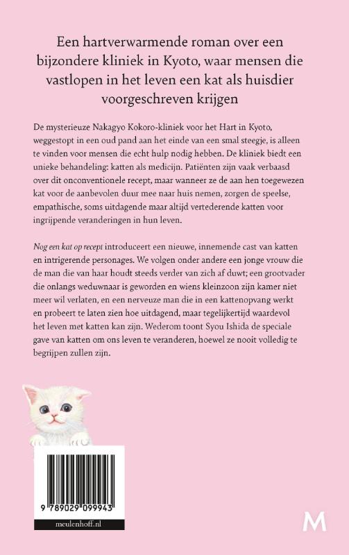Achterkant van Nog een kat op recept