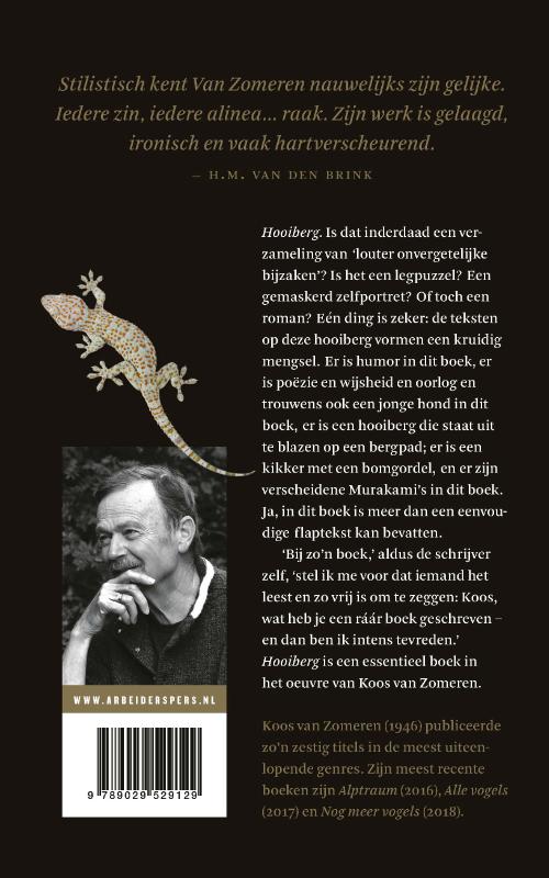 Achterkant van Hooiberg