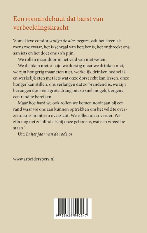 Achterkant van In het jaar van de rode os