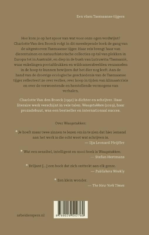 Achterkant van Een vlam Tasmaanse tijgers
