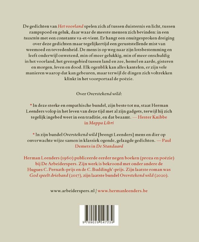 Achterkant van Het voorland