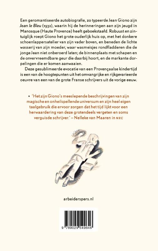 Achterkant van De blauwe jongen