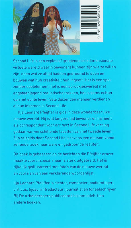 Achterkant van Second Life