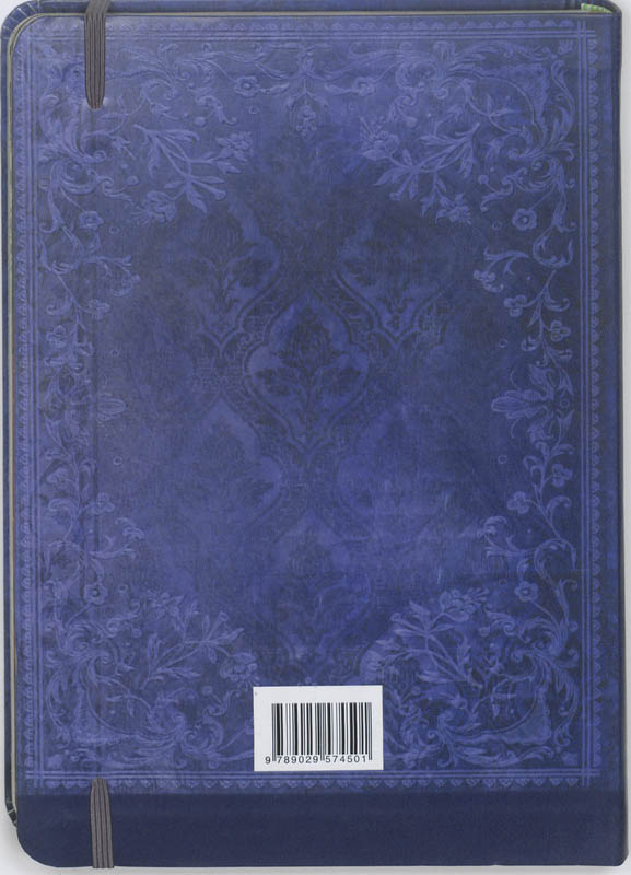 Achterkant van Dagboek