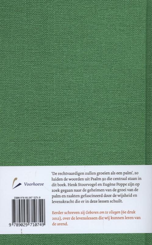 Achterkant van Groeien als een palm