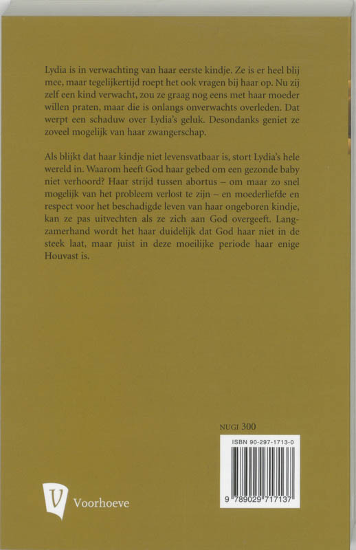 Achterkant van In het verborgene
