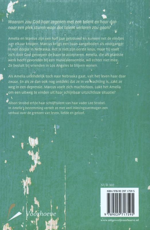 Achterkant van Amelia's bestemming