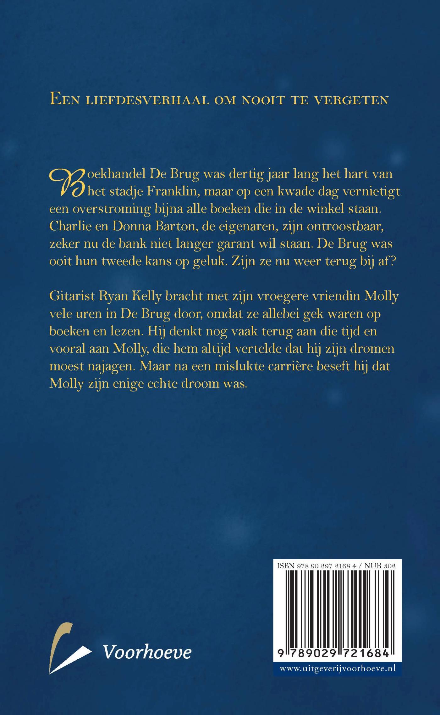 Achterkant van De Brug