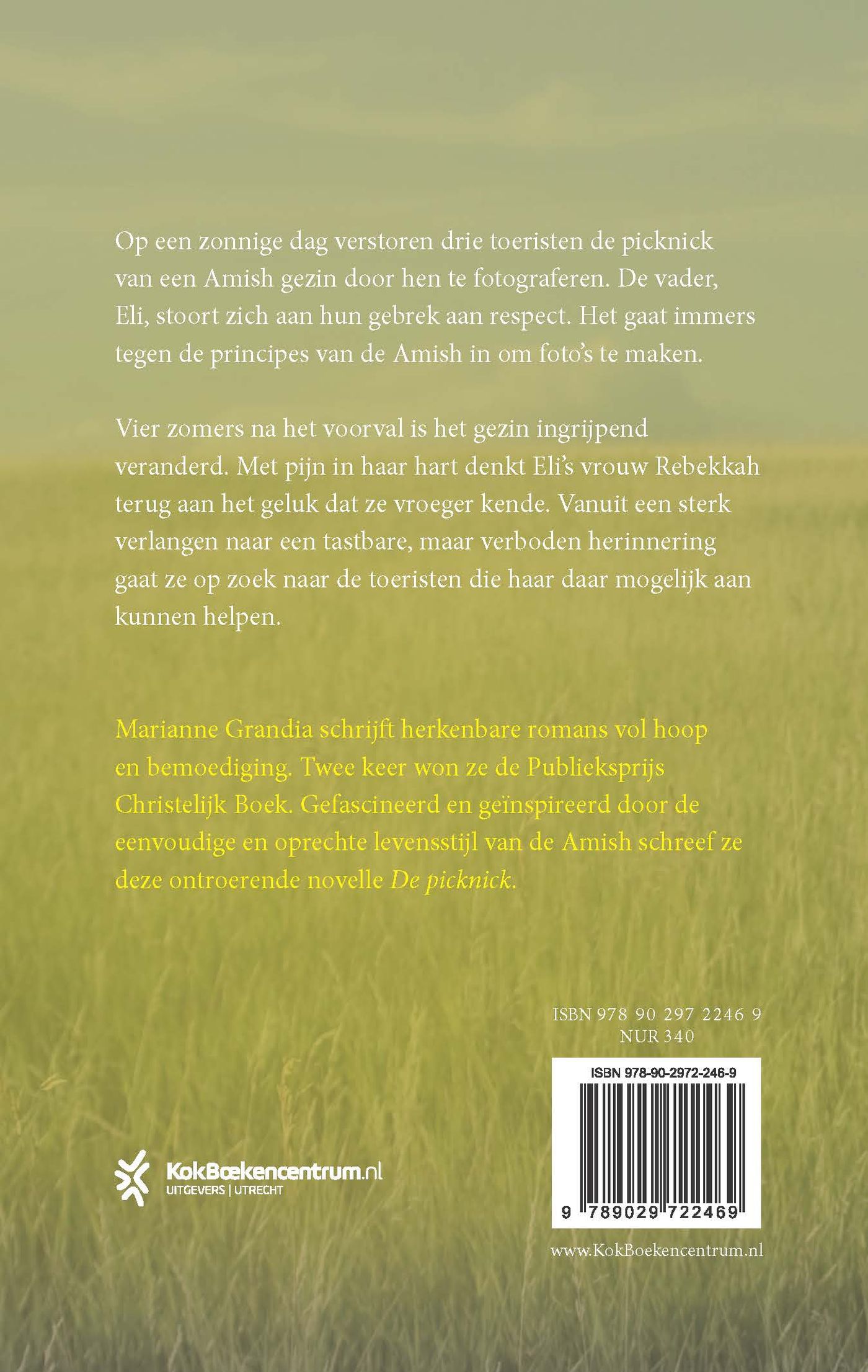 Achterkant van De picknick