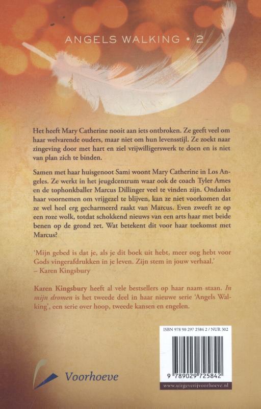 Achterkant van In mijn dromen