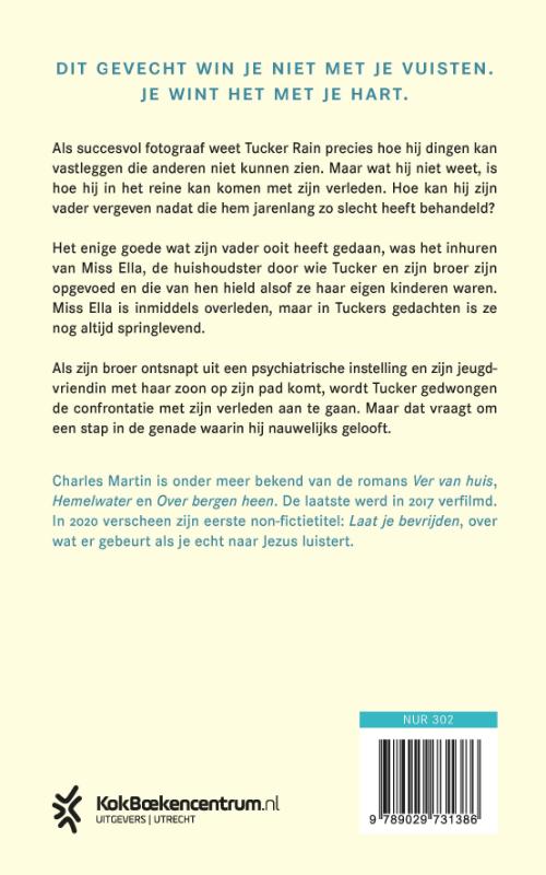 Achterkant van Een spel van licht