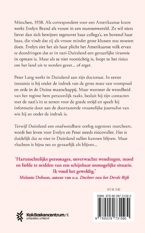 Achterkant van Sterren in de schemering